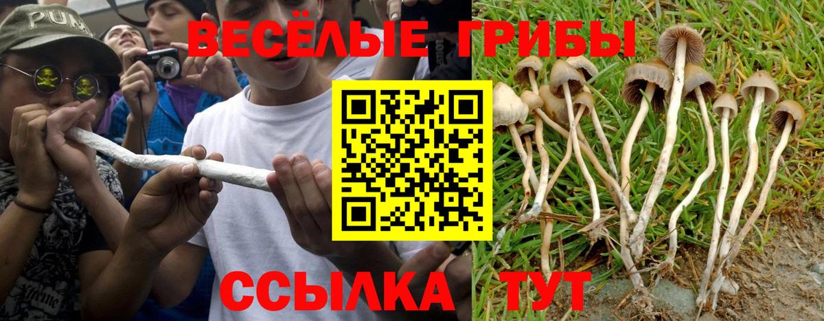 Псилоцибиновые грибы Magic Shrooms Кстово
