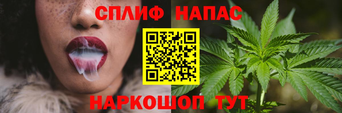 Конопля сатива Кстово